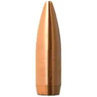 Discount BARNES 22 (.224) 52gr FB BULLET MATCH-BURNER 100/b