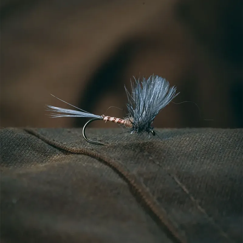 Rene Harrop‘s CDC Thorax - Hendrickson Buy Online