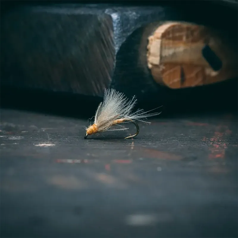 Rene Harrop‘s CDC Biot Dun - Sulphur New Release