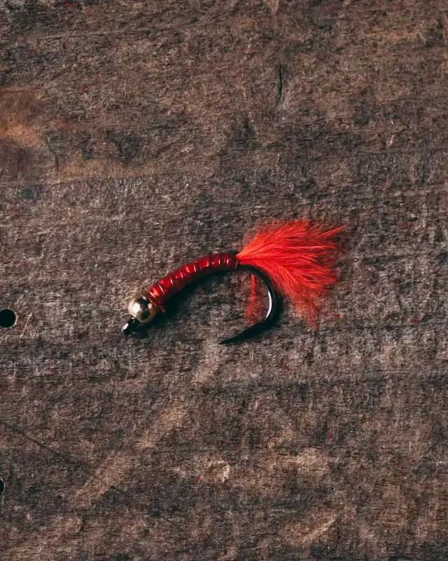 Grab Now Phil Rowley‘s Holo Worm - 12