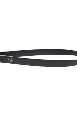 Luxury Galaxy Vega Take-Down Recurve Limbs