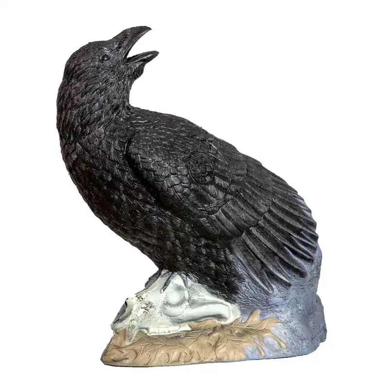 Rinehart Raven Target Order Now